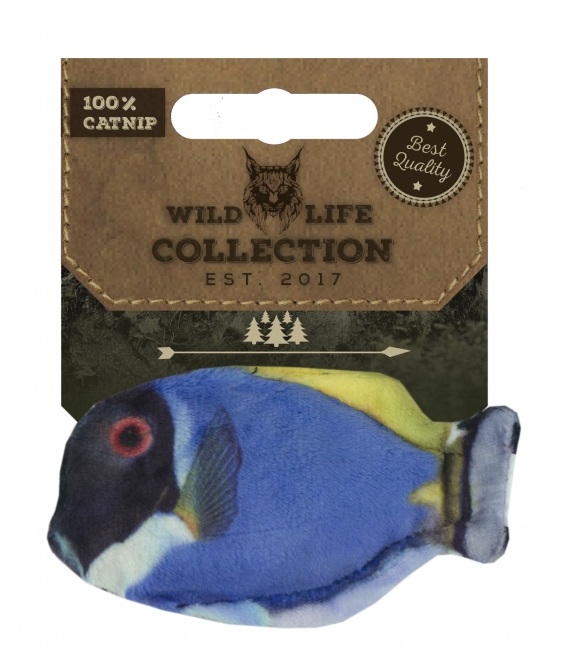 Doktorfisch mit Catnip doktorfisch.jpeg