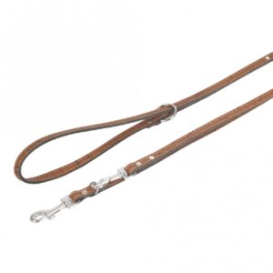 Karlie Führleine Cork – Kastanie – 200cm / 18mm