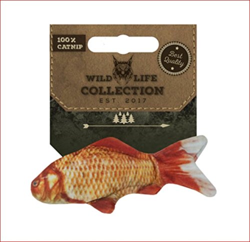 Goldfisch mit Catnip goldfisch.jpg