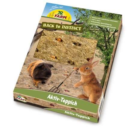 jr aktiv teppich.jpg jr aktiv teppich.jpg