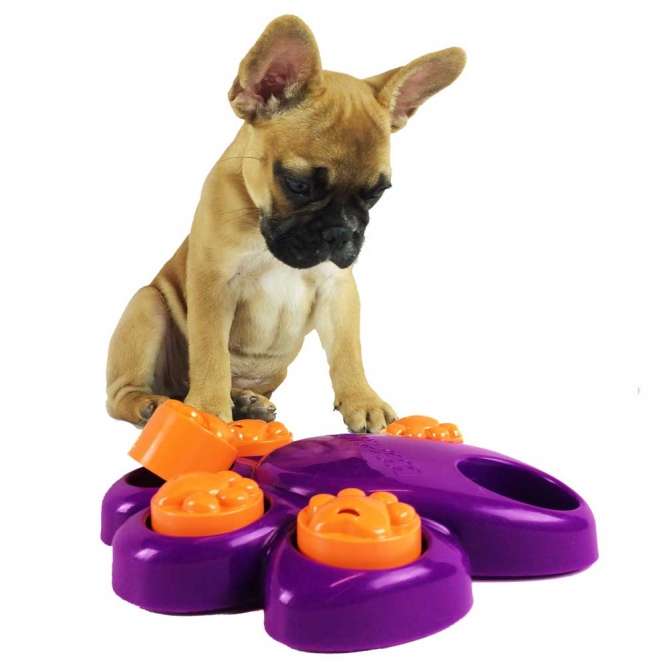 Mini Paw Hide Puzzle - interaktives Hundespielzeug kyje0115f hac 1.jpg