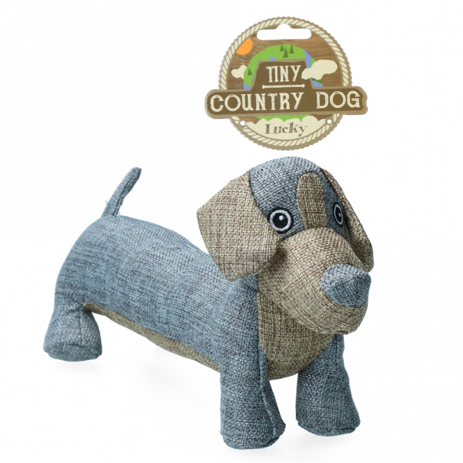 Country Dog Tiny Lucky lucky.jpg