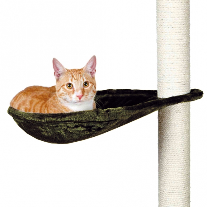 mulde grau katze.jpg