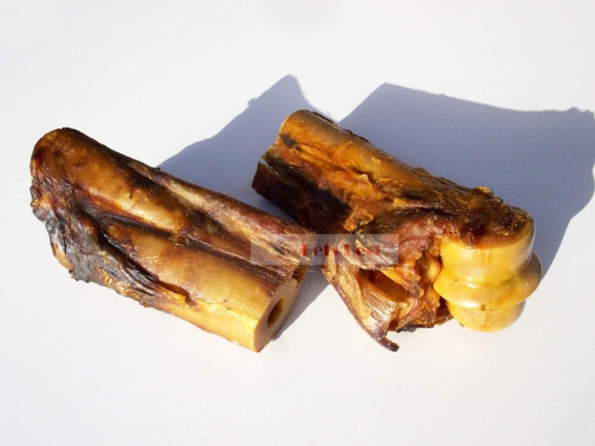 pferde knochen mit achilles sehne klein horse bone.jpg