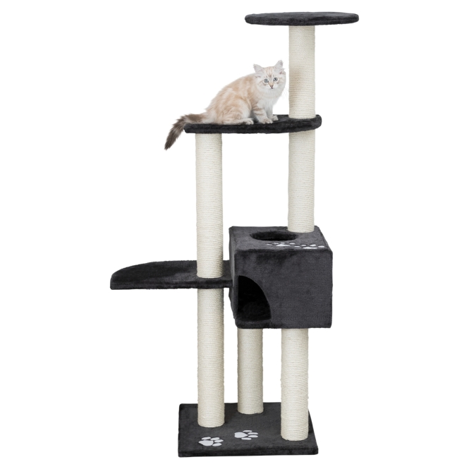 pho pro cat clip 43867 21.jpg