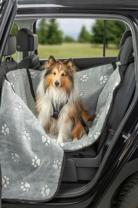 pho pro dog 13230 2 sall awk v11.jpg pho pro dog 13230 2 sall awk v11.jpg