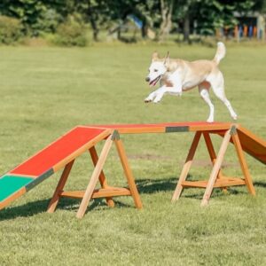 Trixie Fun Agility Steg