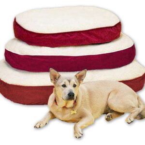 Pet-Star Liegekissen SLEEPY – XL