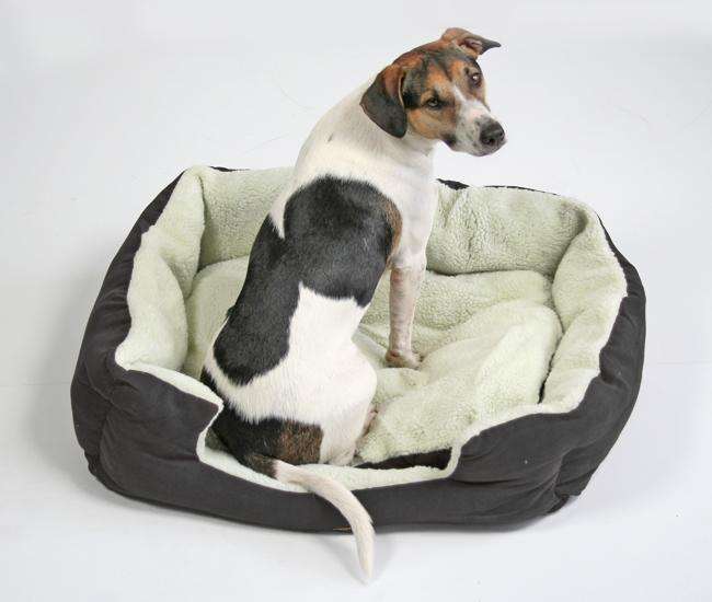 Pet-Star Bett/Kissen NEBRASKA, 72 cm - Schwarz sbh5091 1sch z1.jpg