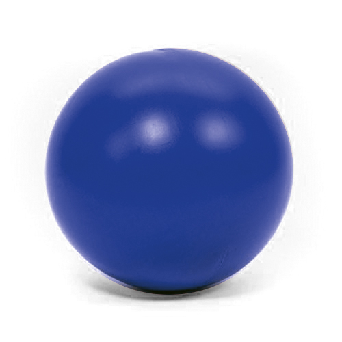 treibball blau.jpg treibball blau.jpg