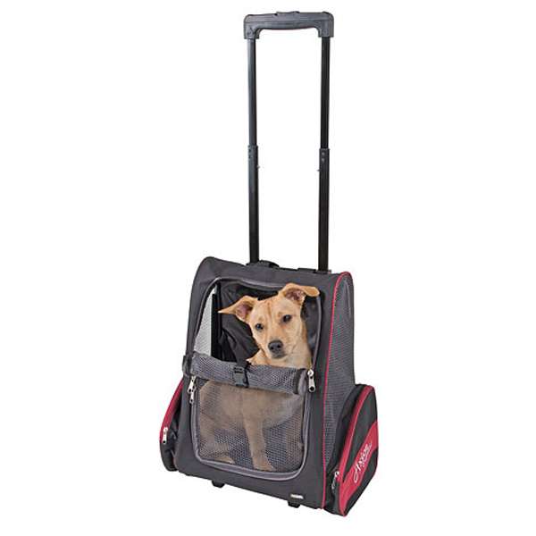 trolley axion 80596.jpg