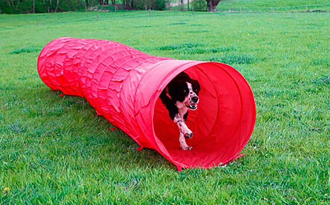 Kerbl Dog Agility Tunnel - 5 m tunnel rot.jpg