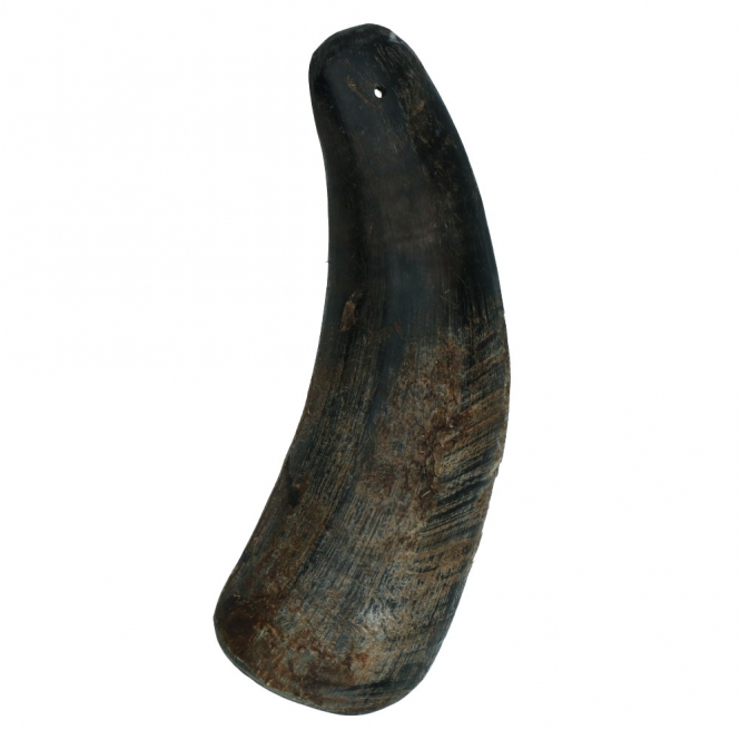 Viking half Horn - S viki12.jpg