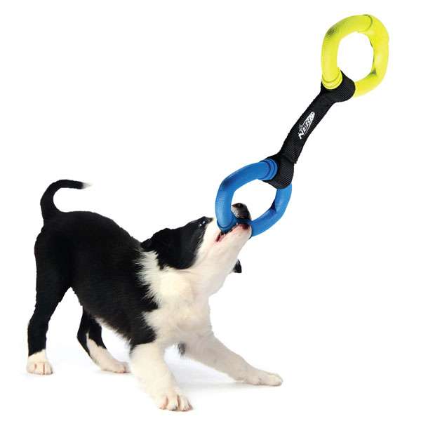 NERF DOG Two-Ring Strap Tug vp6852e.jpg