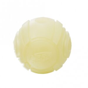 NERF Dog Blaster LED Glow Sonic Ball