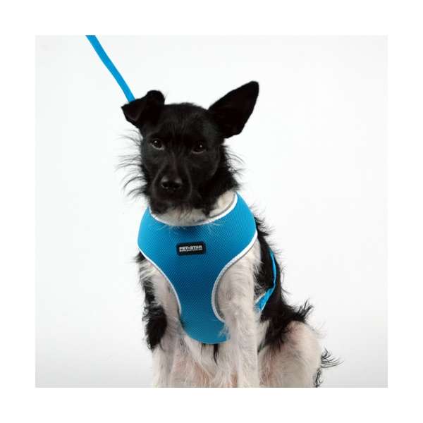 Pet-Star Softgeschirr / Netzgeschirr - Blau - L westeblau5.jpg