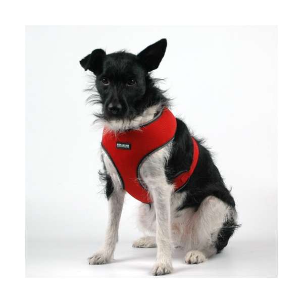 Pet-Star Softgeschirr / Netzgeschirr - Rot - L westerot3.jpg