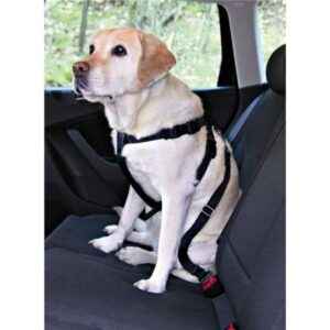 Trixie Auto-Sicherheitsgeschirr – M