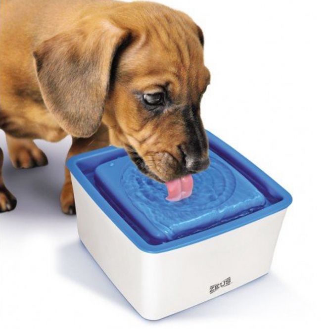 Zeus Mini-Trinkbrunnen für kleine Hunde zeus minitrinkbrunnen.jpg